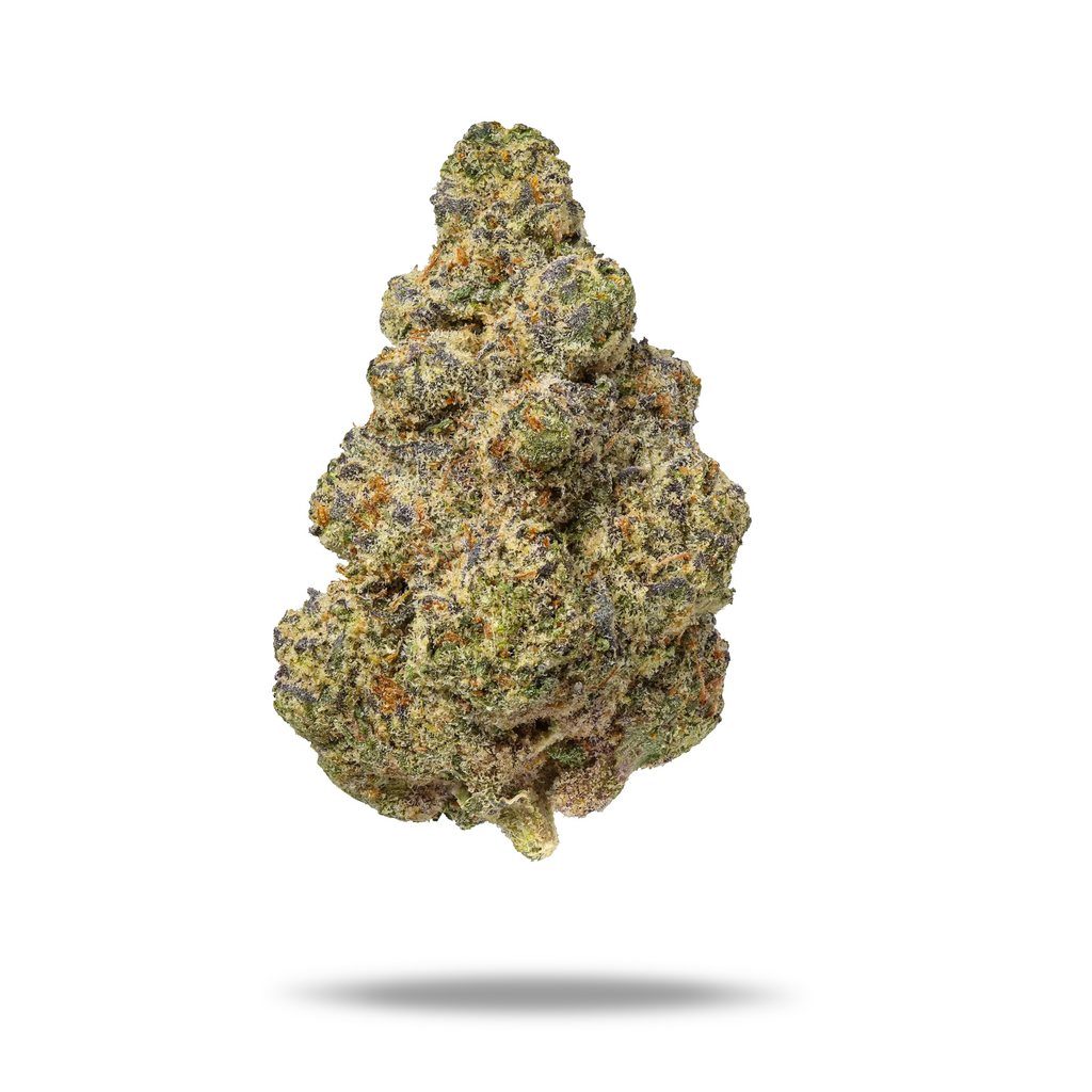 Apricot Scones Diesel